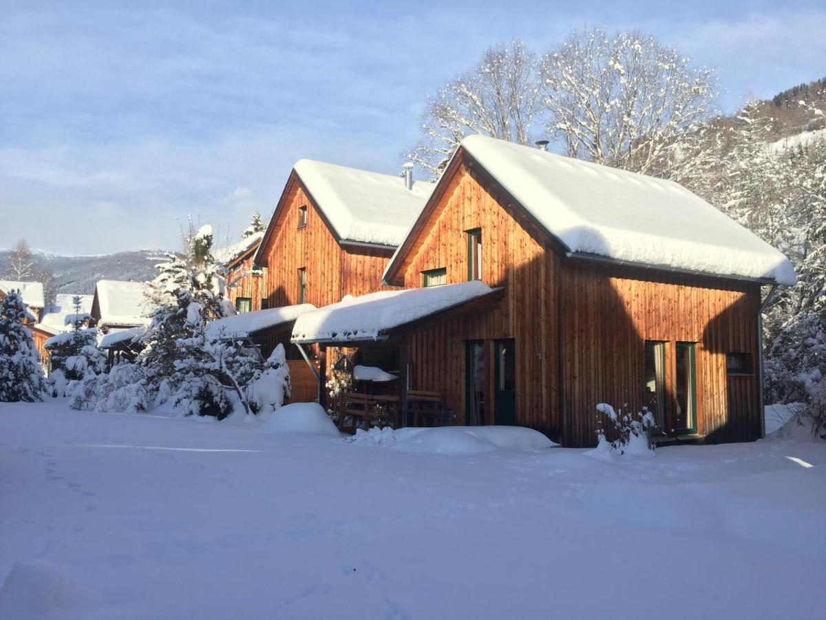 Alpenferienhaus Kreischberg Sankt Lorenzen ob Murau Esterno foto