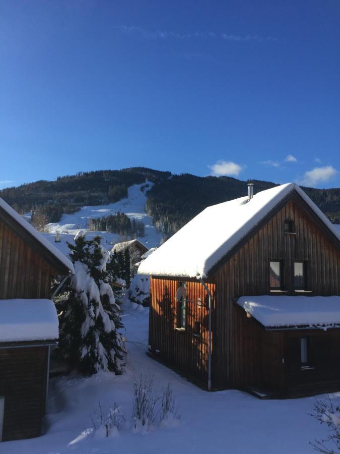 Alpenferienhaus Kreischberg Sankt Lorenzen ob Murau Esterno foto