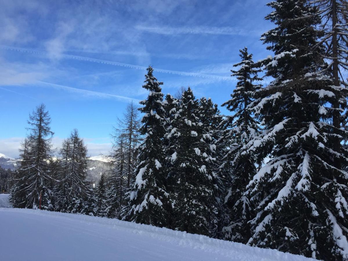 Alpenferienhaus Kreischberg Sankt Lorenzen ob Murau Esterno foto