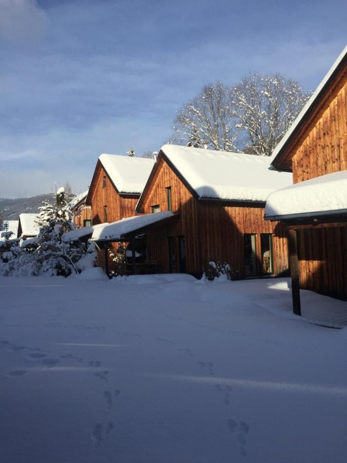 Alpenferienhaus Kreischberg Sankt Lorenzen ob Murau Esterno foto