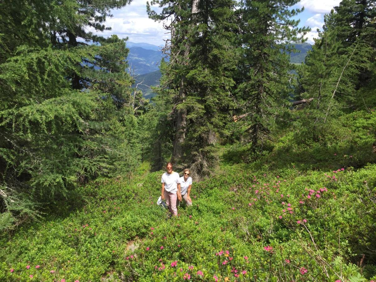 Alpenferienhaus Kreischberg Sankt Lorenzen ob Murau Esterno foto