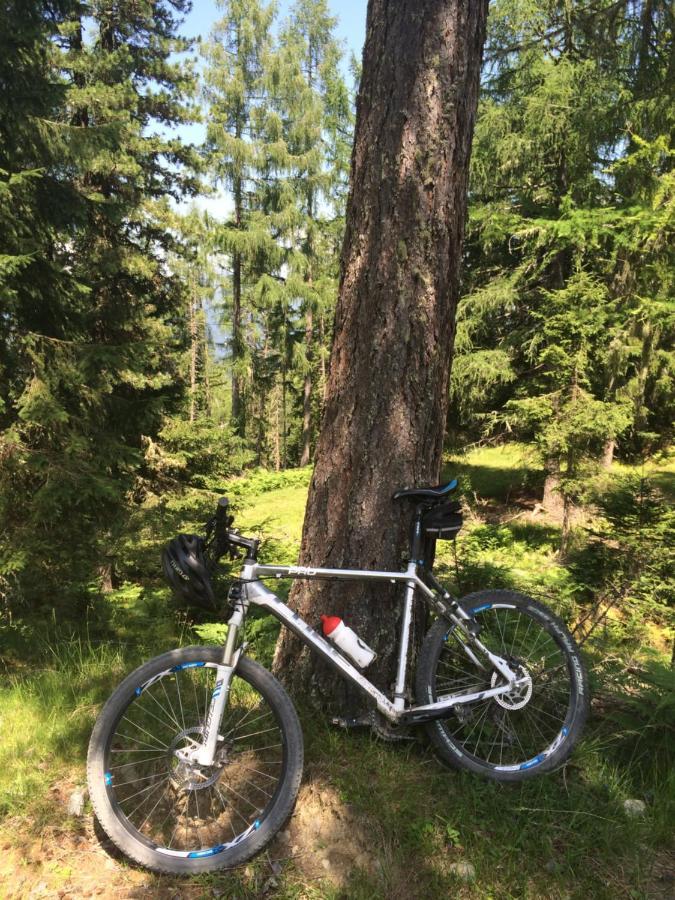 Alpenferienhaus Kreischberg Sankt Lorenzen ob Murau Esterno foto