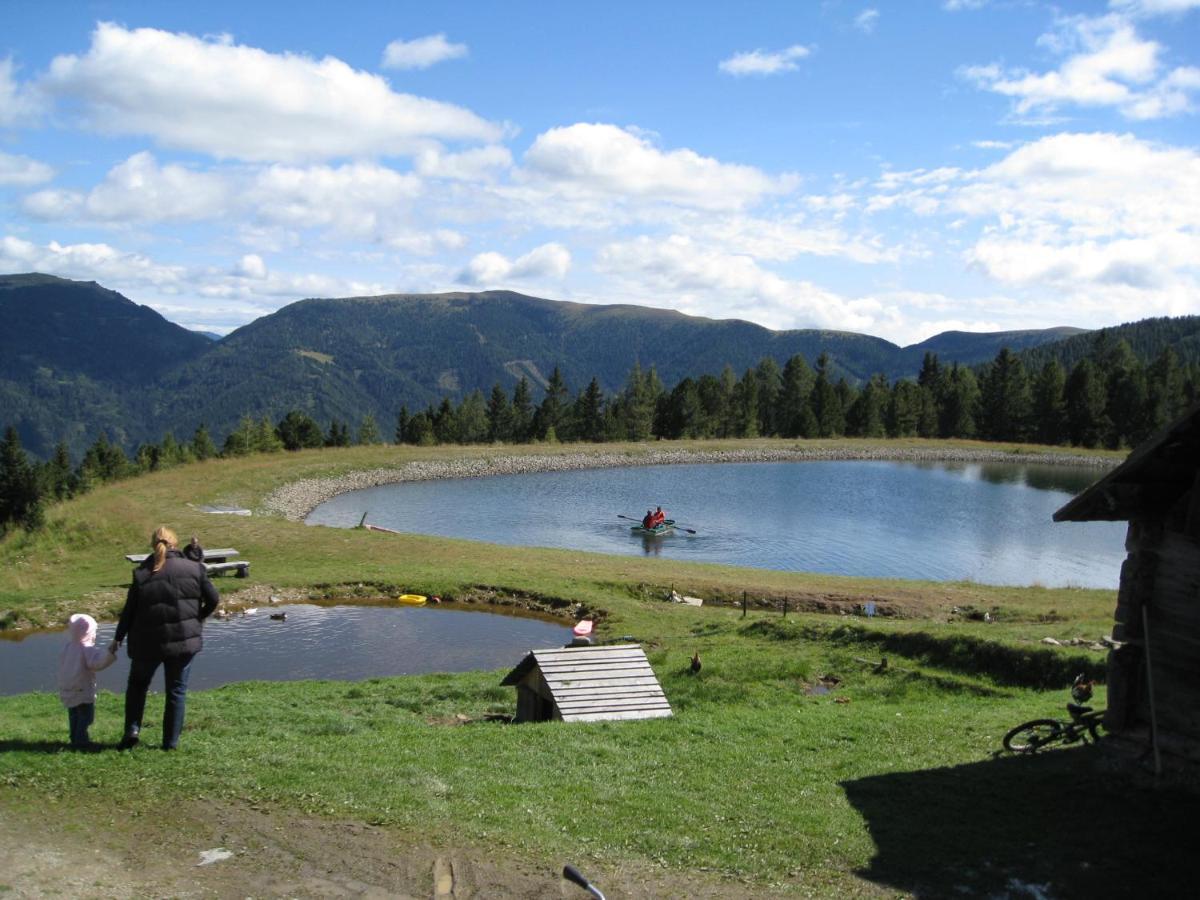 Alpenferienhaus Kreischberg Sankt Lorenzen ob Murau Esterno foto