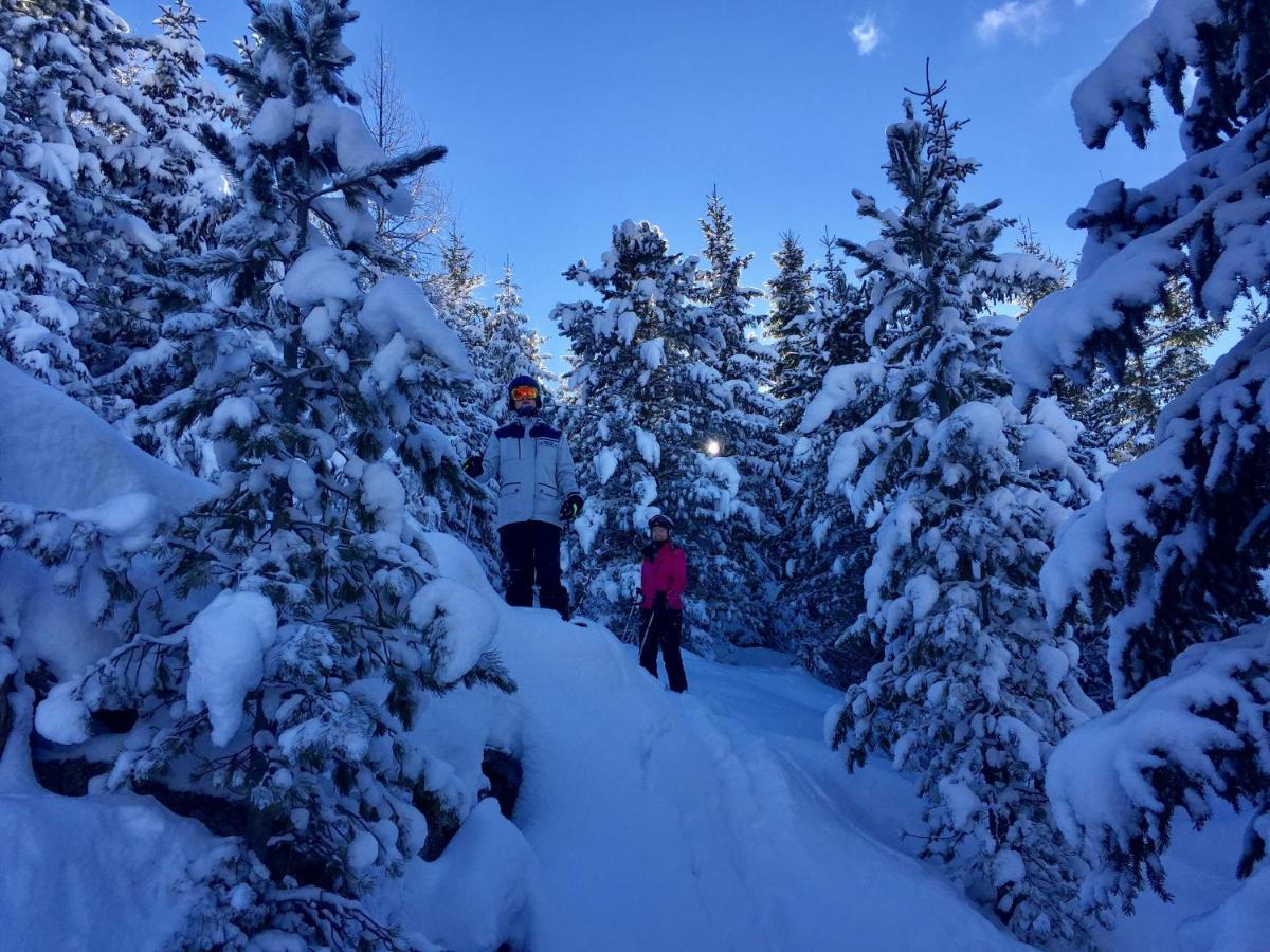Alpenferienhaus Kreischberg Sankt Lorenzen ob Murau Esterno foto