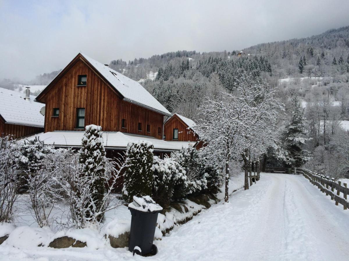 Alpenferienhaus Kreischberg Sankt Lorenzen ob Murau Esterno foto