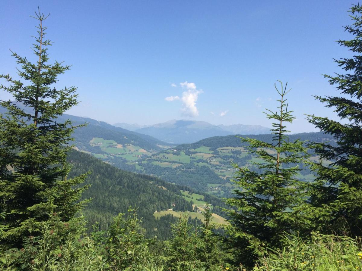 Alpenferienhaus Kreischberg Sankt Lorenzen ob Murau Esterno foto