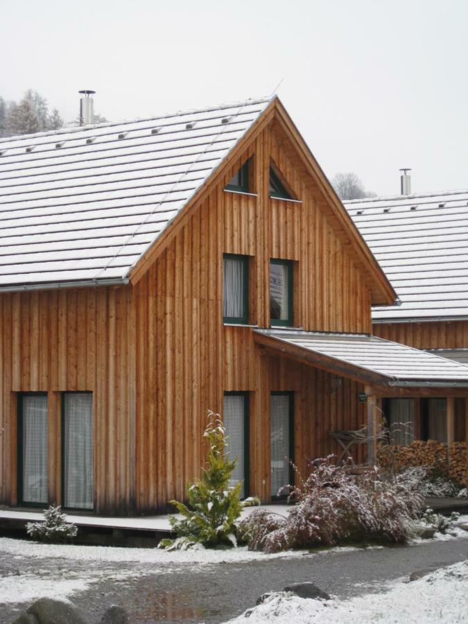 Alpenferienhaus Kreischberg Sankt Lorenzen ob Murau Esterno foto